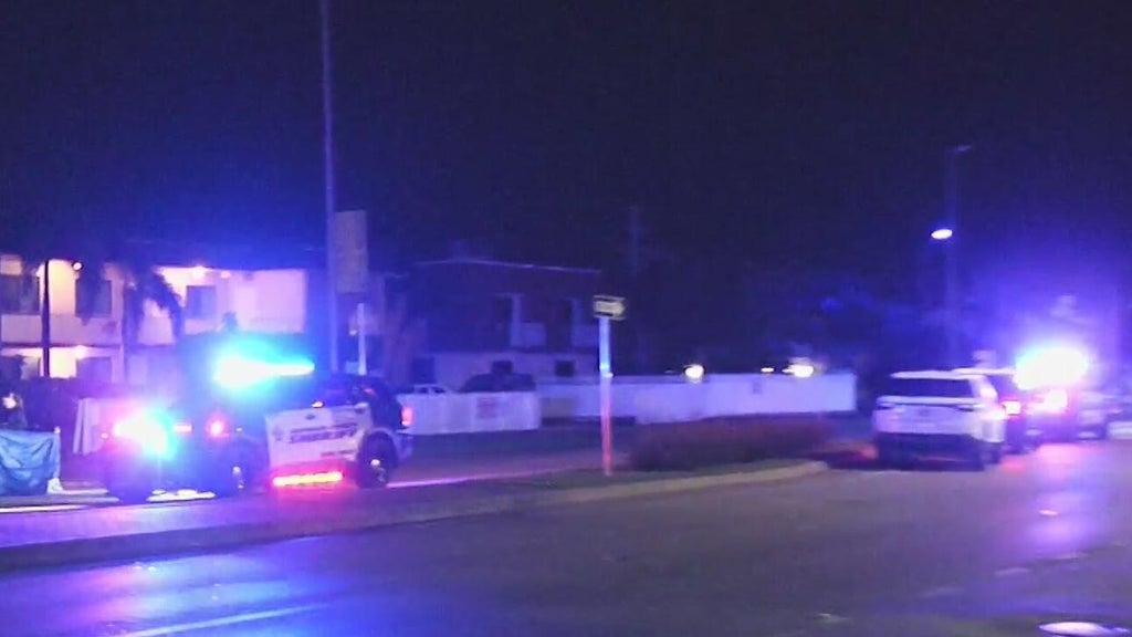 Woman accused of killing man in Dania Beach hit-and-run, BSO says — CBS Miami, Menlo Park Community news