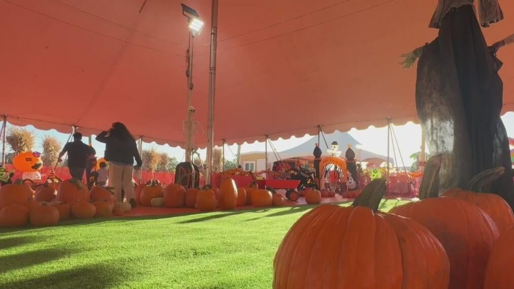 Bay Area families ready to enjoy fall activities welcome weather cooldown — CBS Bay Area (KPIX), Menlo Park Arts news