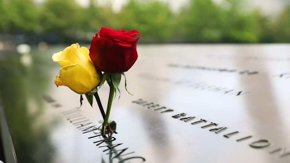 Second 9/11 victim identified with breakthrough genetic genealogy, NYC officials say
       — ABC 7 Bay Area