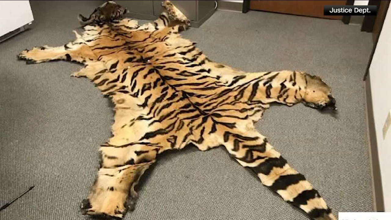 California couple pleads guilty to trafficking wildlife
— Menlo Park Community news
