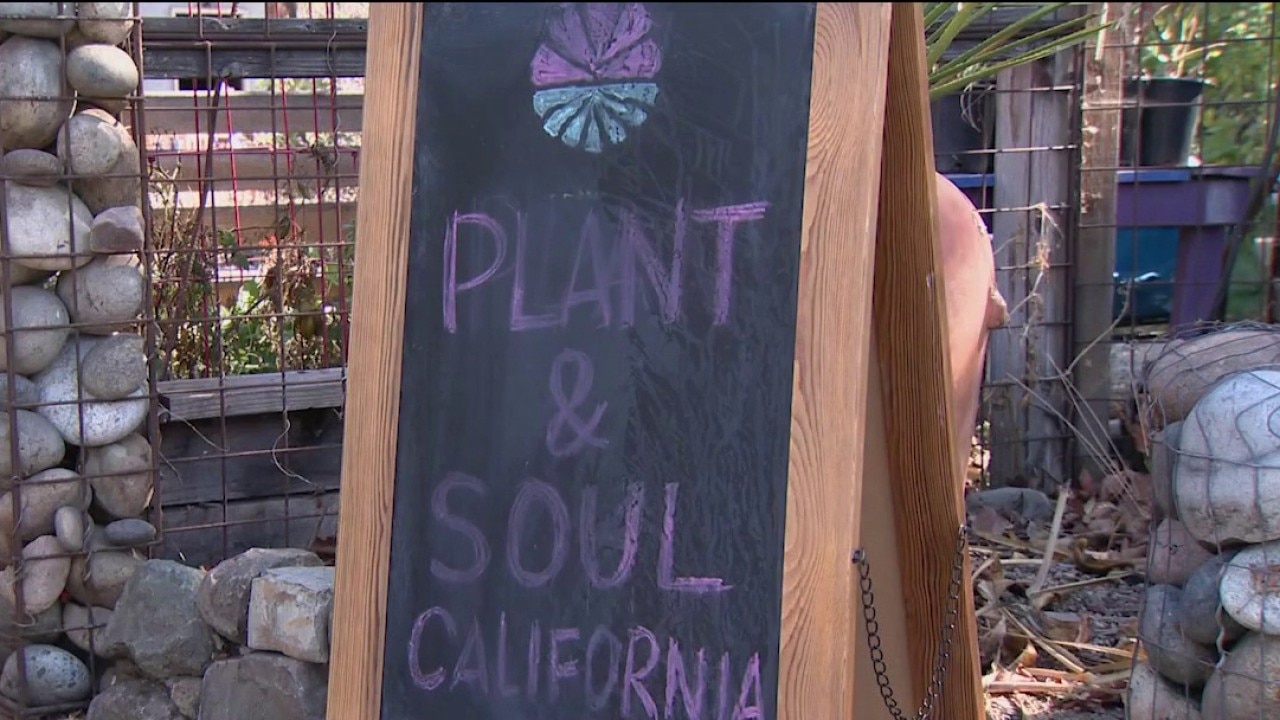 San Jose community garden faces possible eviction — KTVU FOX 2 Bay Area, Menlo Park Schools news