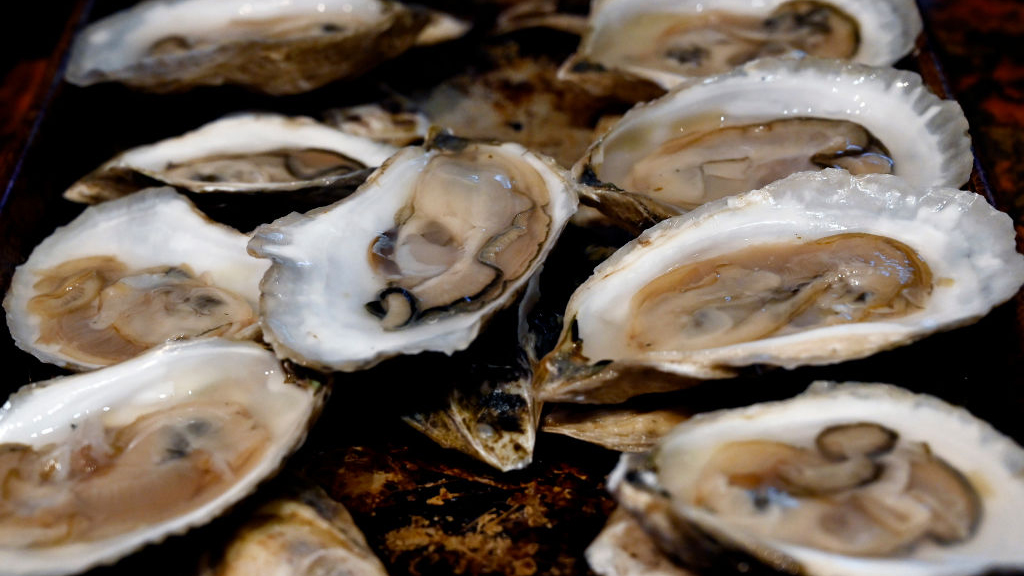 Sewage leak temporarily halts Tomales Bay oyster harvest — KTVU FOX 2 Bay Area, Menlo Park Business news