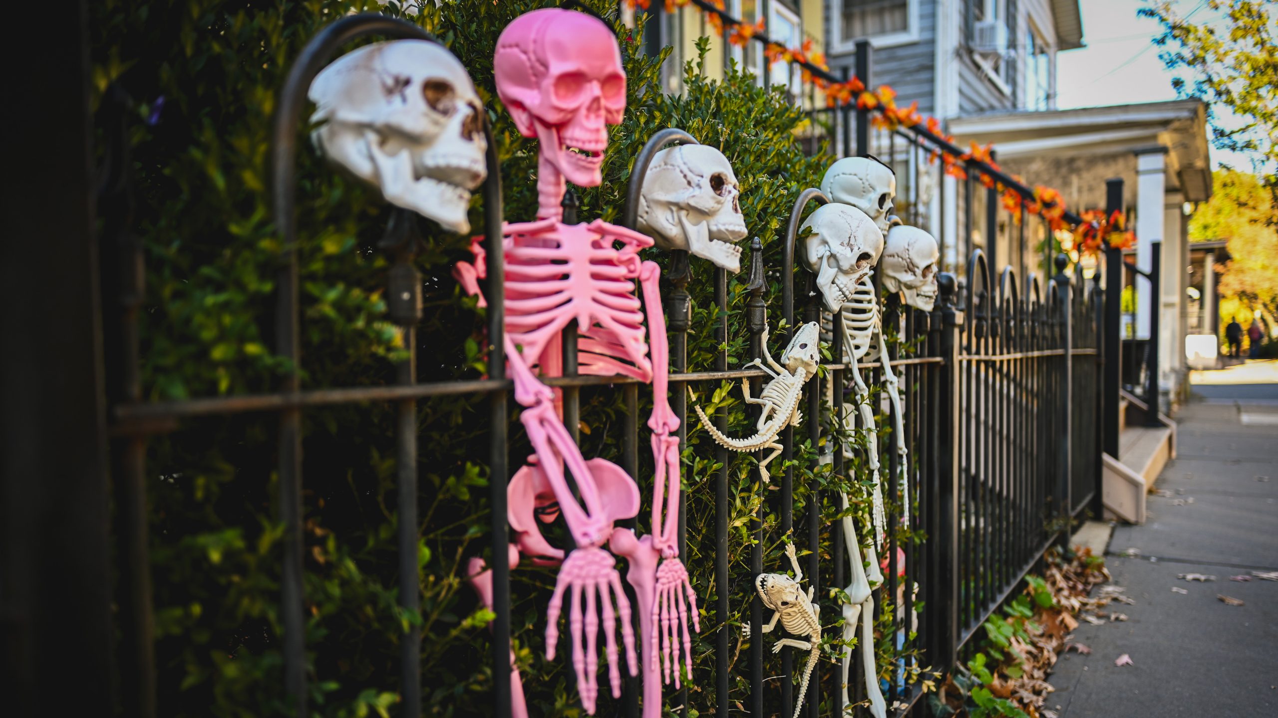 America's best cities for Halloween, ranked — KTVU FOX 2 Bay Area, Menlo Park Community news